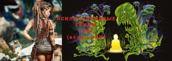 PSILOCYBIN Нязепетровск